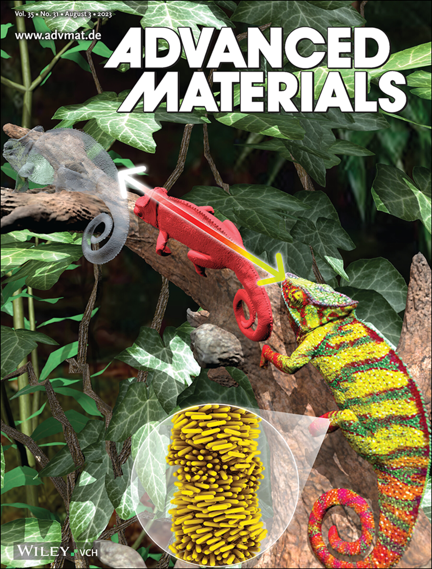 Advanced Materials cover, 2023